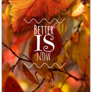 Better IS now