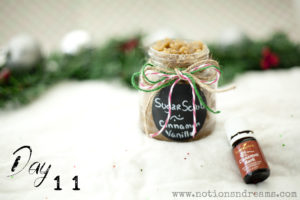 day11_cinnamon-vanilla-sugar-scrub_class