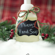 {Day 6} D.I.Y. Thieves Foaming Hand Soap