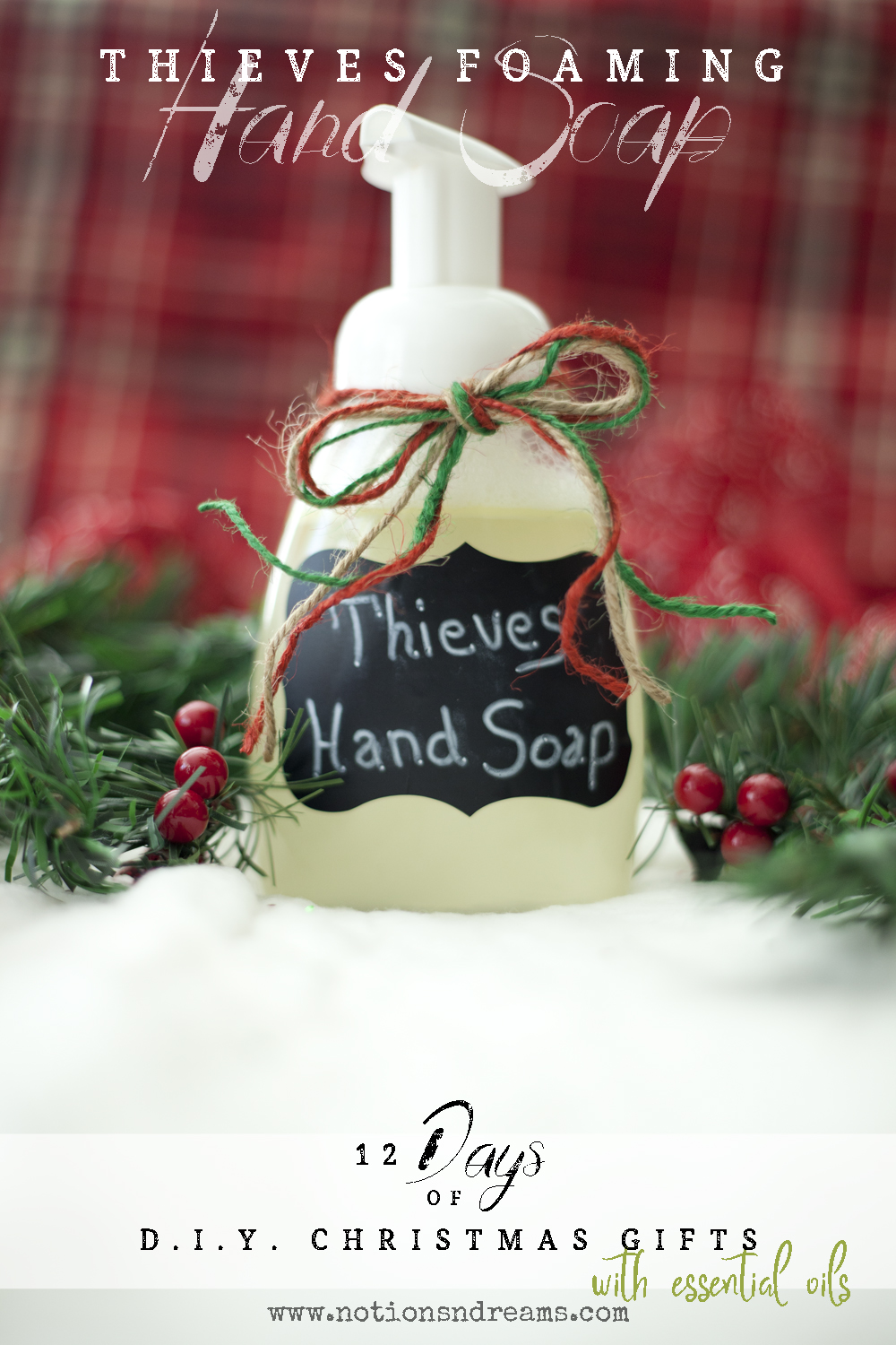 {Day 6} D.I.Y. Thieves Foaming Hand Soap Notions 'N Dreams